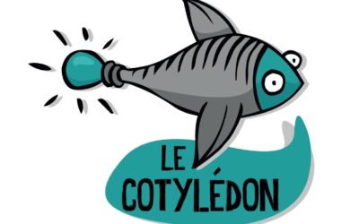 2021.12.11 // Phalsbourg // Le Cotylédon